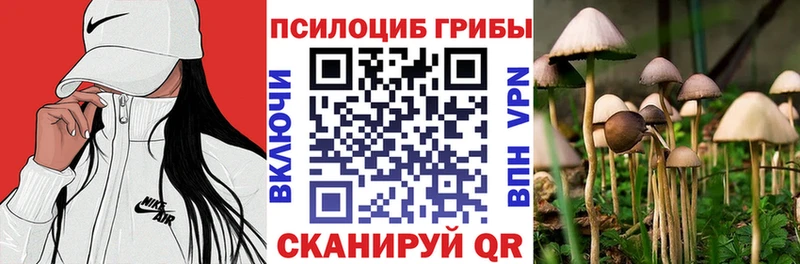 купить   Железноводск  Псилоцибиновые грибы мицелий 