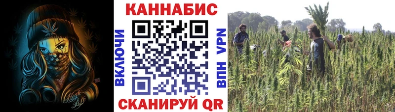 KRAKEN ссылка сколько стоит Железноводск МАРИХУАНА ГИДРОПОН